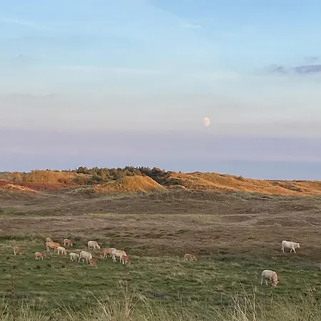 Deining * Sint Maartensvlotbrug