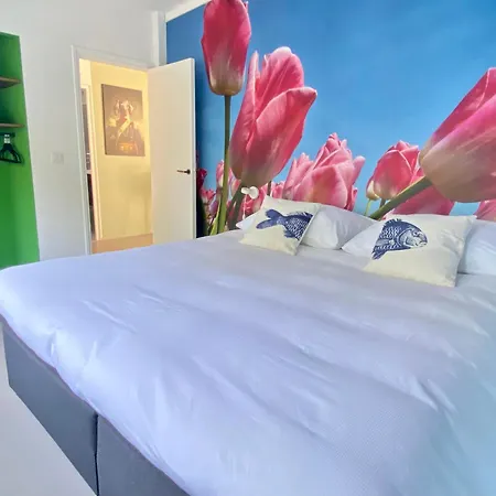 Deining בית נופש Sint Maartensvlotbrug