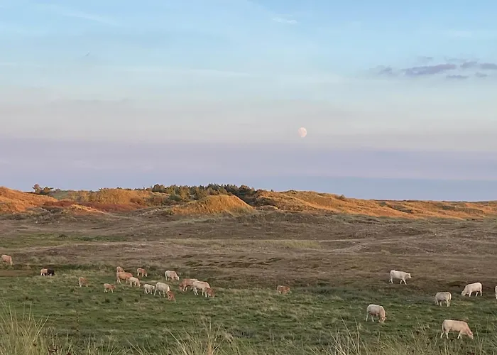 Deining * Sint Maartensvlotbrug